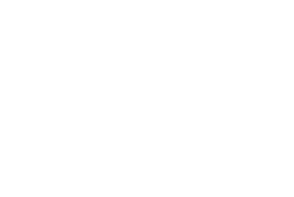 Nimrod Group Logo